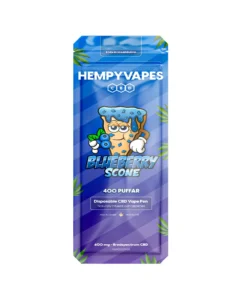 Blueberry Scone – 1ml Engångsvape